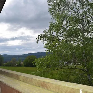Birken Falkenfels